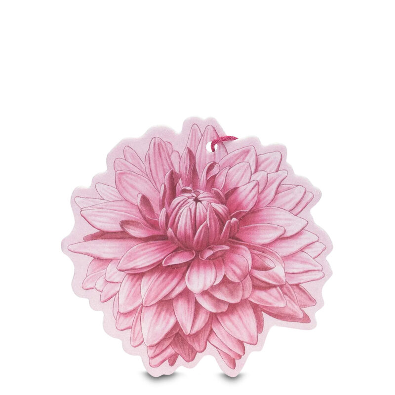 Fiore Profumato Multiuso SFUMATURA DI DALIA 1 pz
